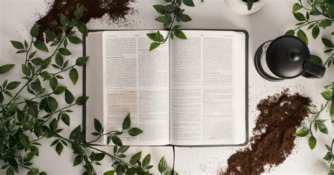 is holy crap a swear word|Should Christians Say “Holy Crap” .